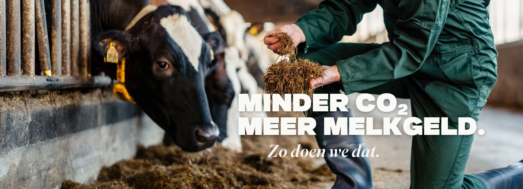 zdwd minder co2