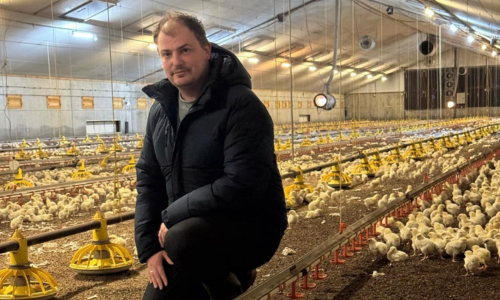 Reudink pluimvee Laurens Hebben