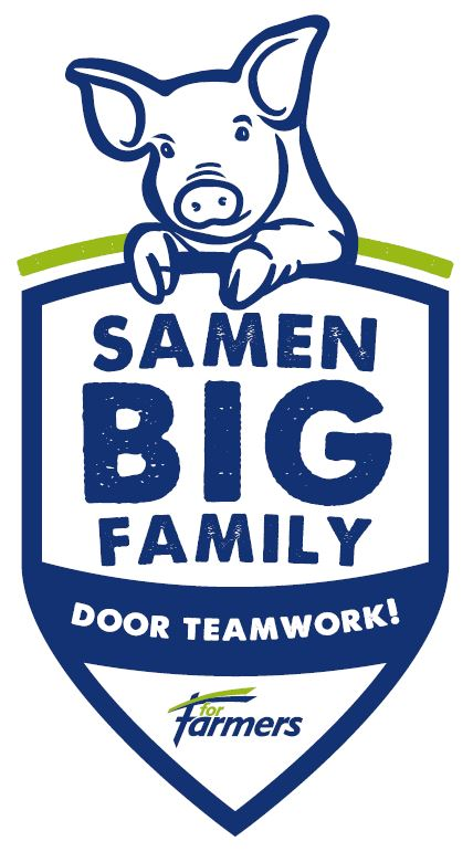 BIG Family logo